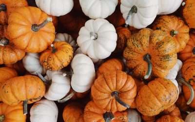 Prayers of Thanksgiving: A Guide for NGAGMC Churches