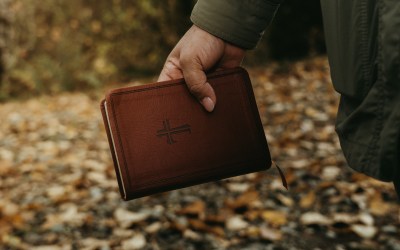 The Beatitudes: What Are They and What Do They Mean?